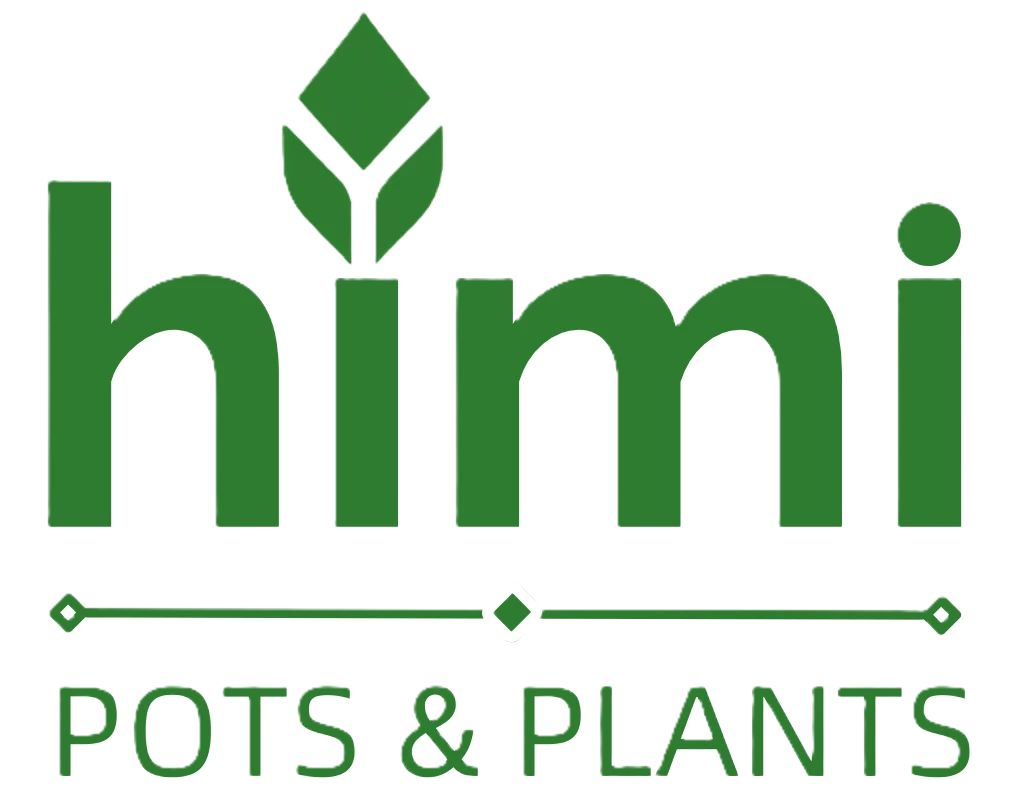 Himi