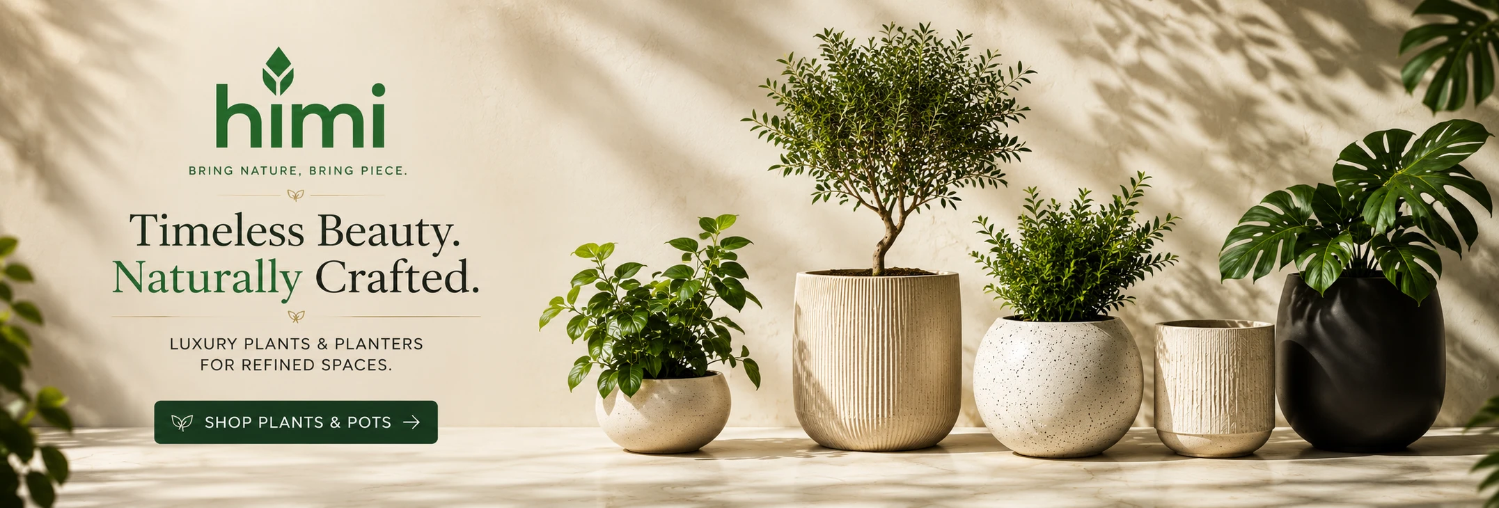 Himi Pots & Plants — Artisan Pots