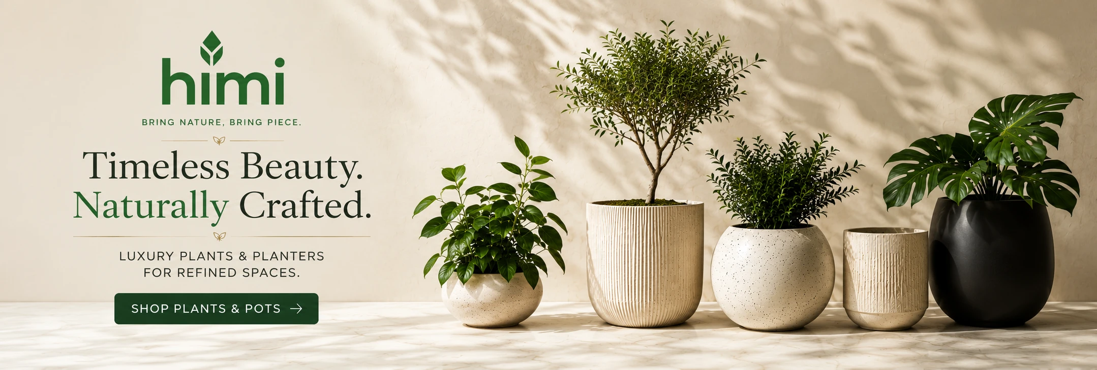 Himi Pots & Plants — Corporate Spaces