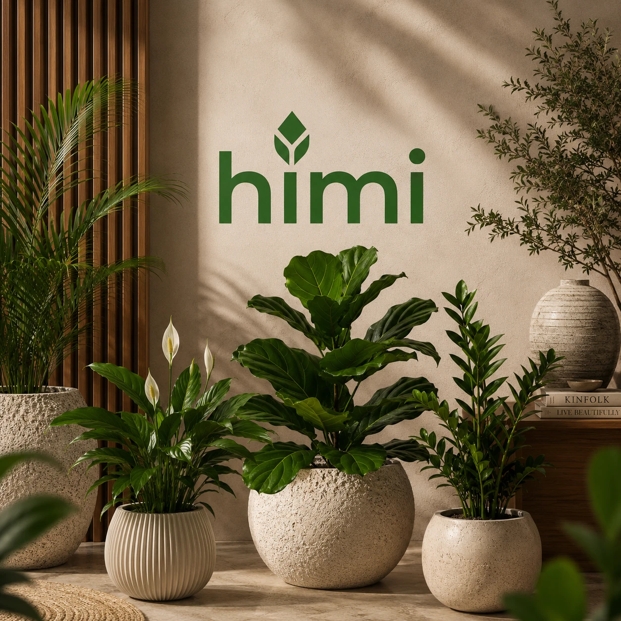 Tabletop plants for desk and office